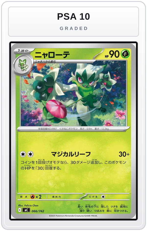 Graded - Floragato — PSA 10 graded overlay