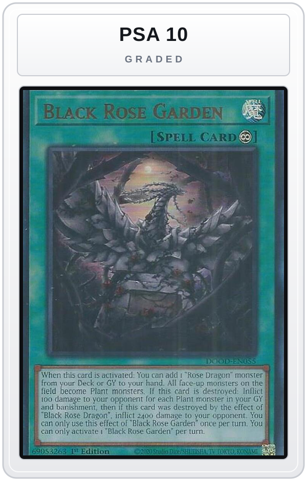Graded - Black Rose Garden — PSA 10 graded overlay