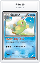 Graded - Politoed — PSA 10 graded overlay