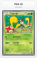 Graded - Shuckle — PSA 10 graded overlay