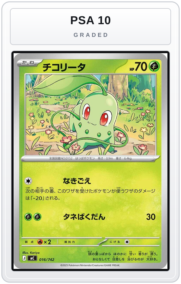 Graded - Chikorita — PSA 10 graded overlay
