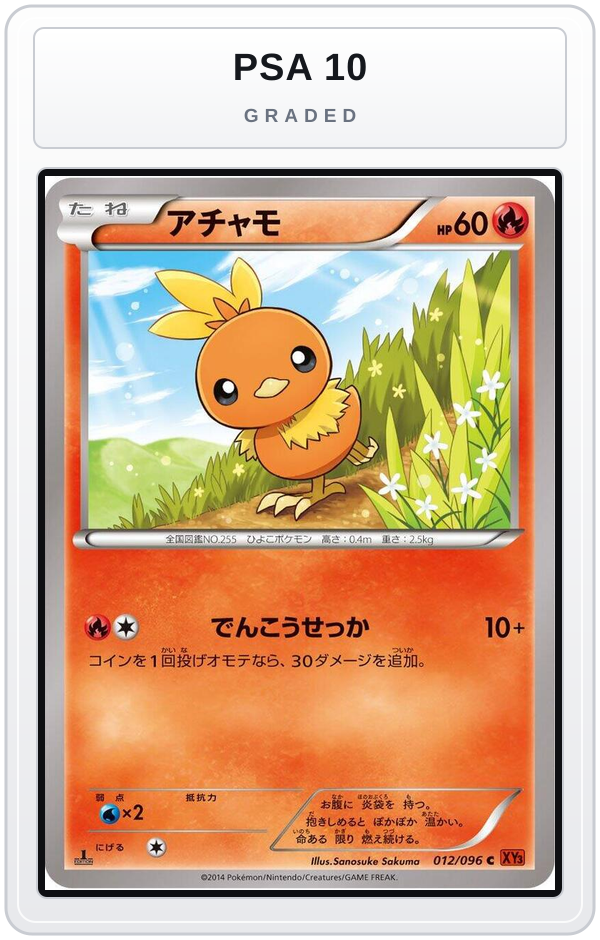 Graded - Torchic — PSA 10 graded overlay