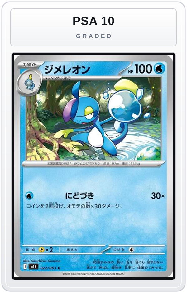 Graded - Drizzile — PSA 10 graded overlay