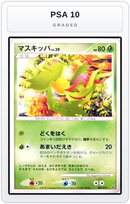 Graded - Carnivine — PSA 10 graded overlay