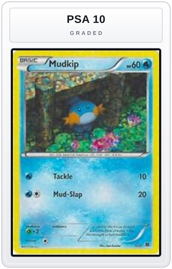 Graded - Mudkip - 5/12 — PSA 10 graded overlay