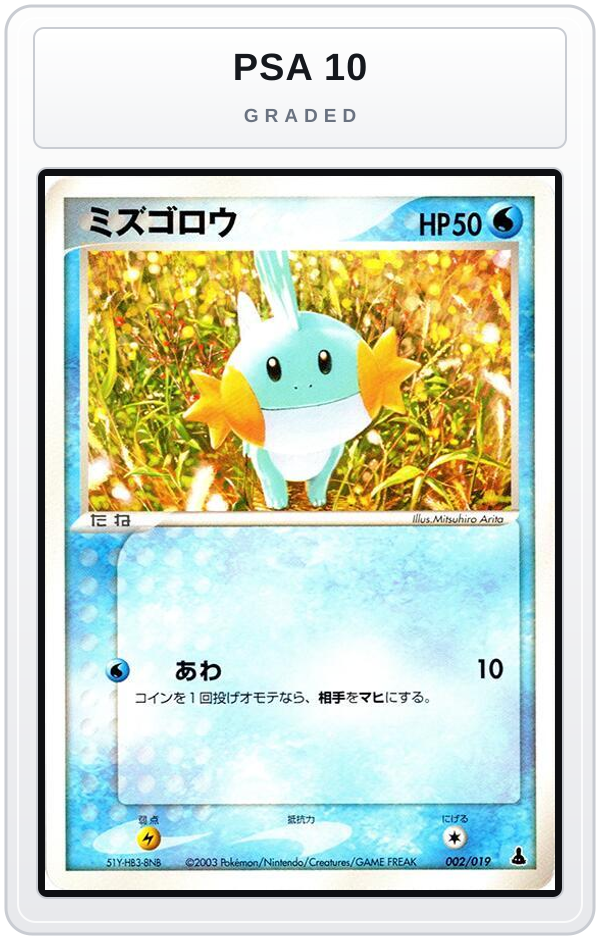 Graded - Mudkip - 002/019 — PSA 10 graded overlay