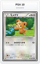 Graded - Teddiursa — PSA 10 graded overlay