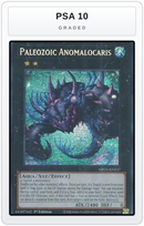 Graded - Paleozoic Anomalocaris — PSA 10 graded overlay