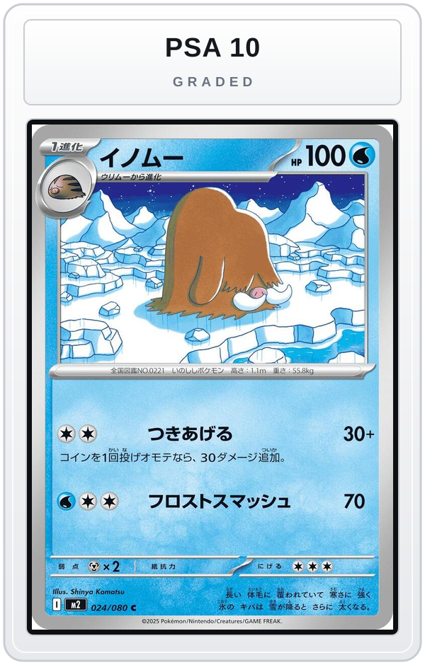 Graded - Piloswine — PSA 10 graded overlay