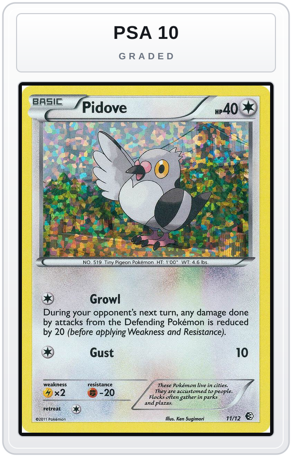 Graded - Pidove - 11/12 — PSA 10 graded overlay