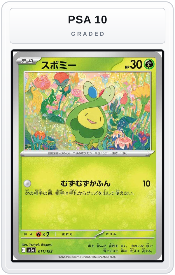 Graded - Budew - 011/193 — PSA 10 graded overlay