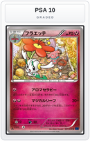 Graded - Floette — PSA 10 graded overlay