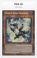 Graded - White Rose Dragon — PSA 10 graded overlay