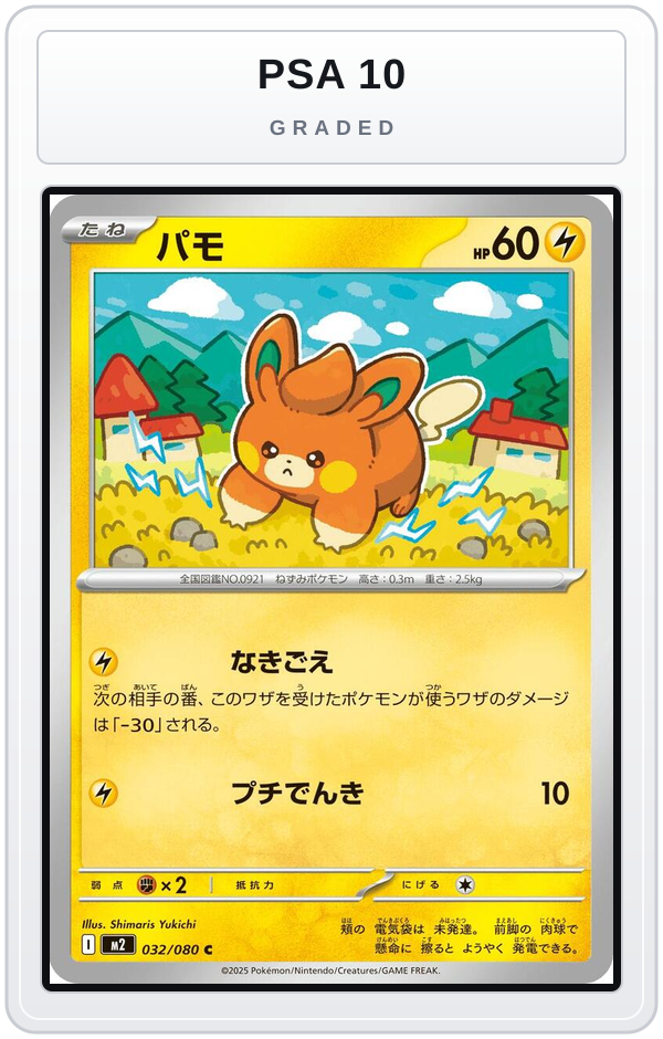 Graded - Pawmi — PSA 10 graded overlay