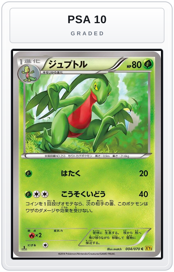 Graded - Grovyle — PSA 10 graded overlay