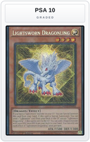 Graded - Lightsworn Dragonling — PSA 10 graded overlay