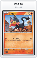 Graded - Litten — PSA 10 graded overlay