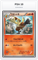 Graded - Combusken — PSA 10 graded overlay