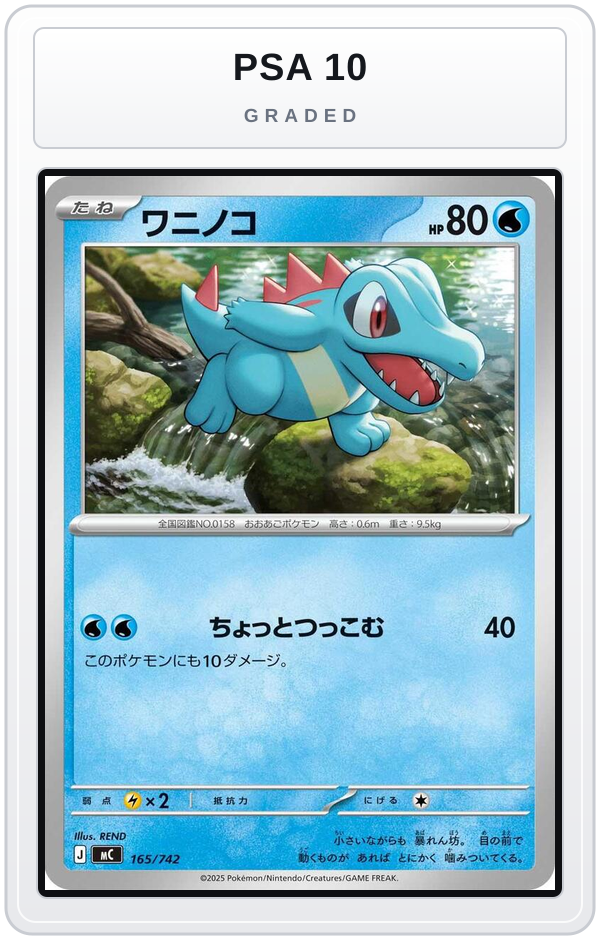 Graded - Totodile - 165/742 — PSA 10 graded overlay