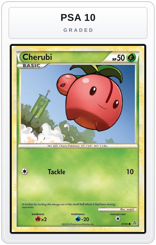Graded - Cherubi — PSA 10 graded overlay