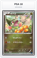 Graded - Axew — PSA 10 graded overlay