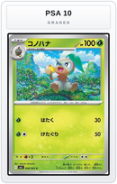 Graded - Nuzleaf — PSA 10 graded overlay