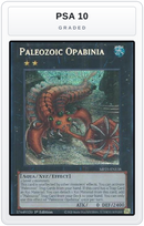 Graded - Paleozoic Opabinia — PSA 10 graded overlay