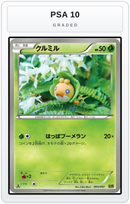 Graded - Sewaddle — PSA 10 graded overlay
