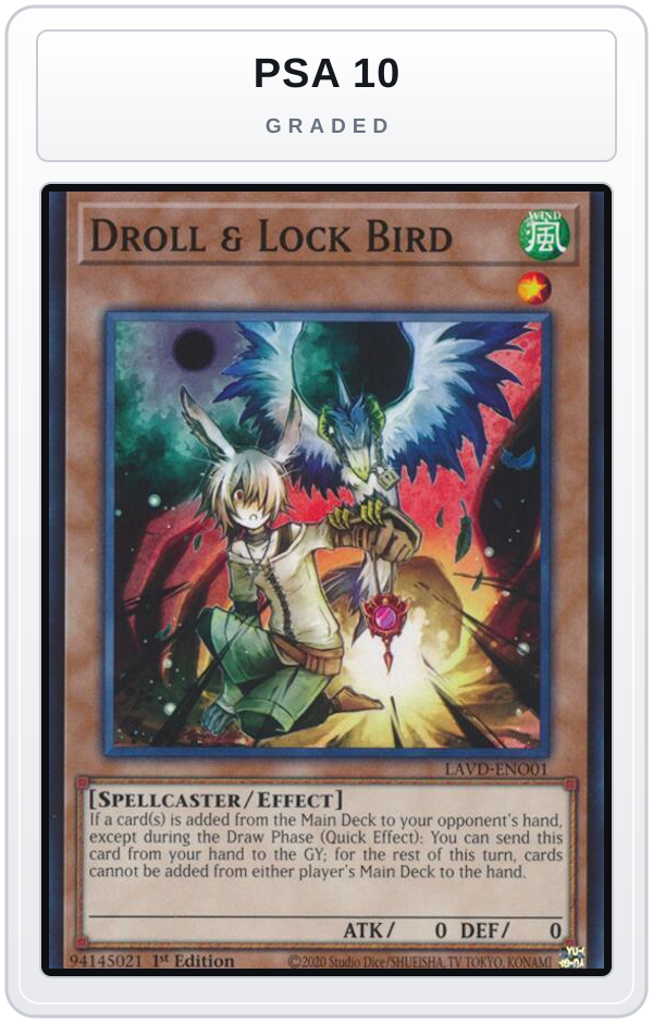 Graded - Droll & Lock Bird (LAVD-ENO01) — PSA 10 graded overlay