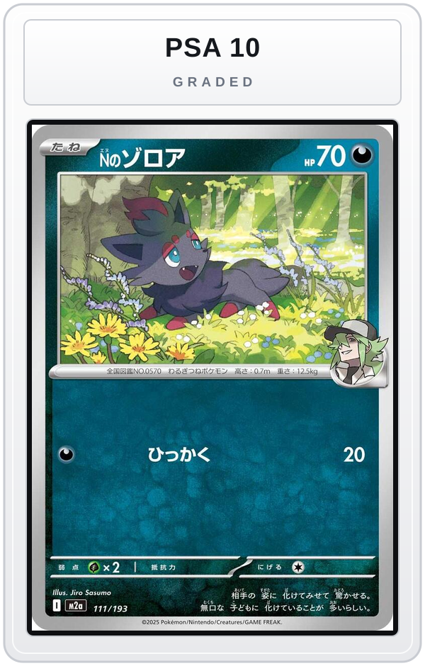 Graded - N's Zorua — PSA 10 graded overlay