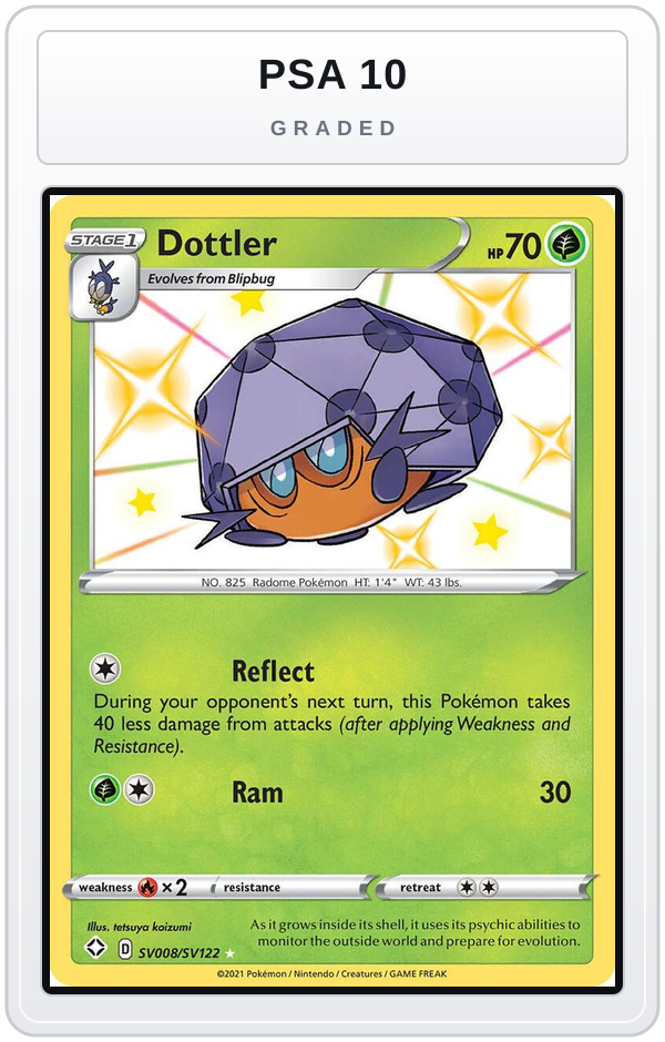 Graded - Dottler — PSA 10 graded overlay