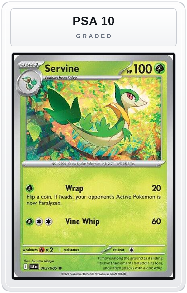 Graded - Servine — PSA 10 graded overlay