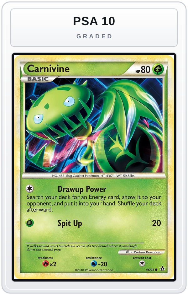Graded - Carnivine — PSA 10 graded overlay