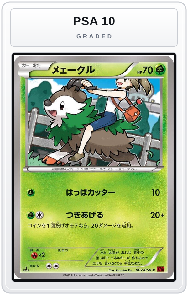 Graded - Skiddo — PSA 10 graded overlay