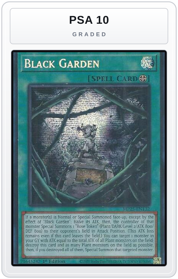 Graded - Black Garden — PSA 10 graded overlay
