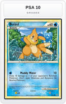 Graded - Buizel — PSA 10 graded overlay