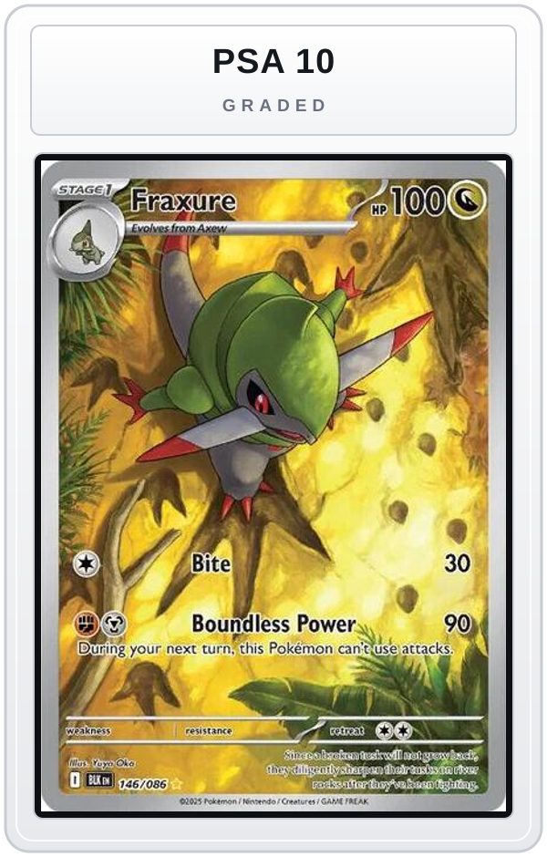 Graded - Fraxure - 146/086 — PSA 10 graded overlay