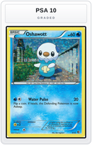 Graded - Oshawott - 4/12 — PSA 10 graded overlay