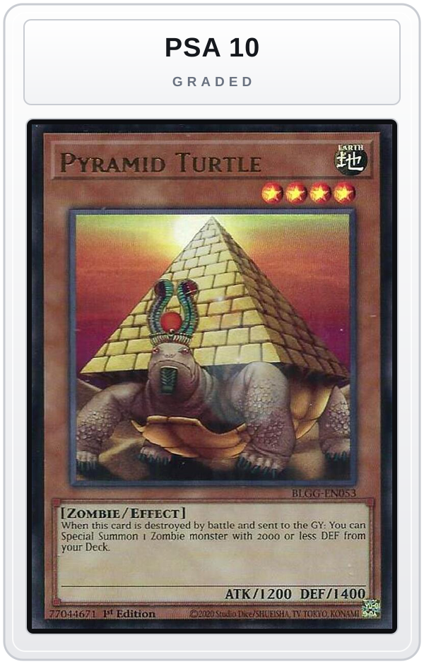 Graded - Pyramid Turtle — PSA 10 graded overlay