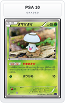 Graded - Foongus — PSA 10 graded overlay
