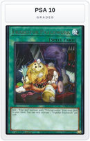 Graded - Frightfur Patchwork — PSA 10 graded overlay