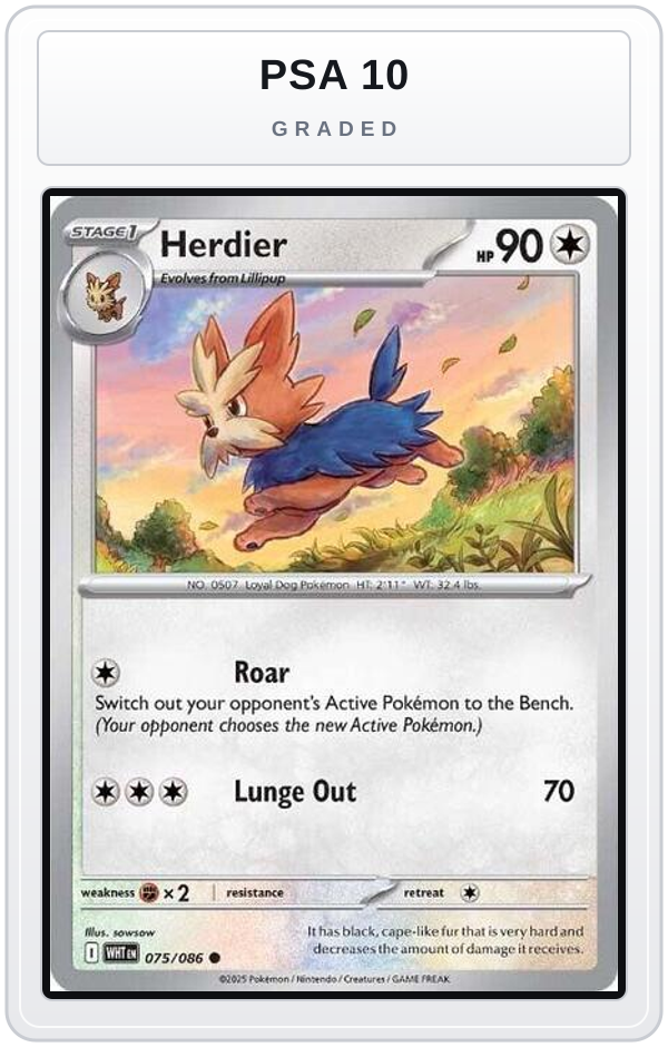 Graded - Herdier — PSA 10 graded overlay