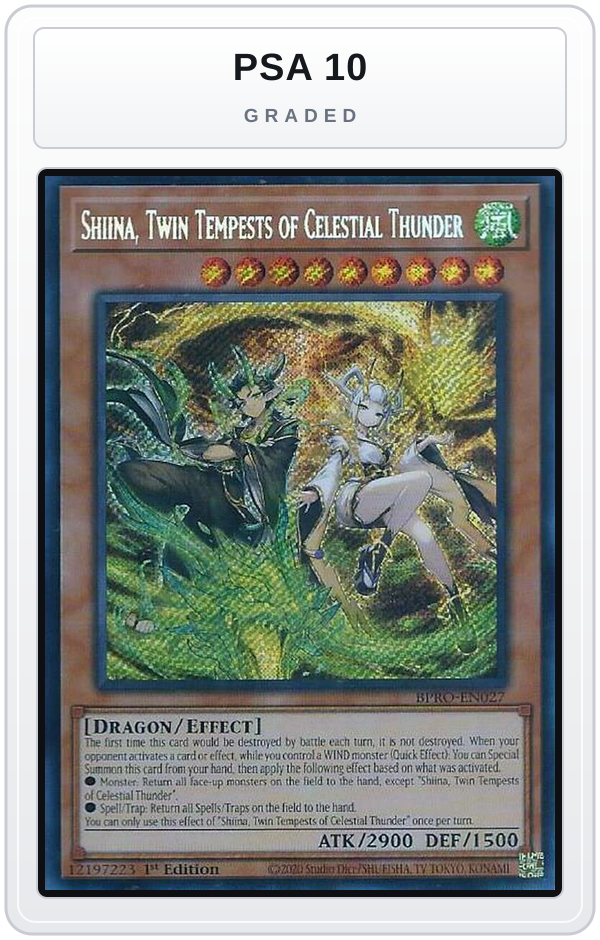 Graded - Shiina, Twin Tempests of Celestial Thunder — PSA 10 graded overlay