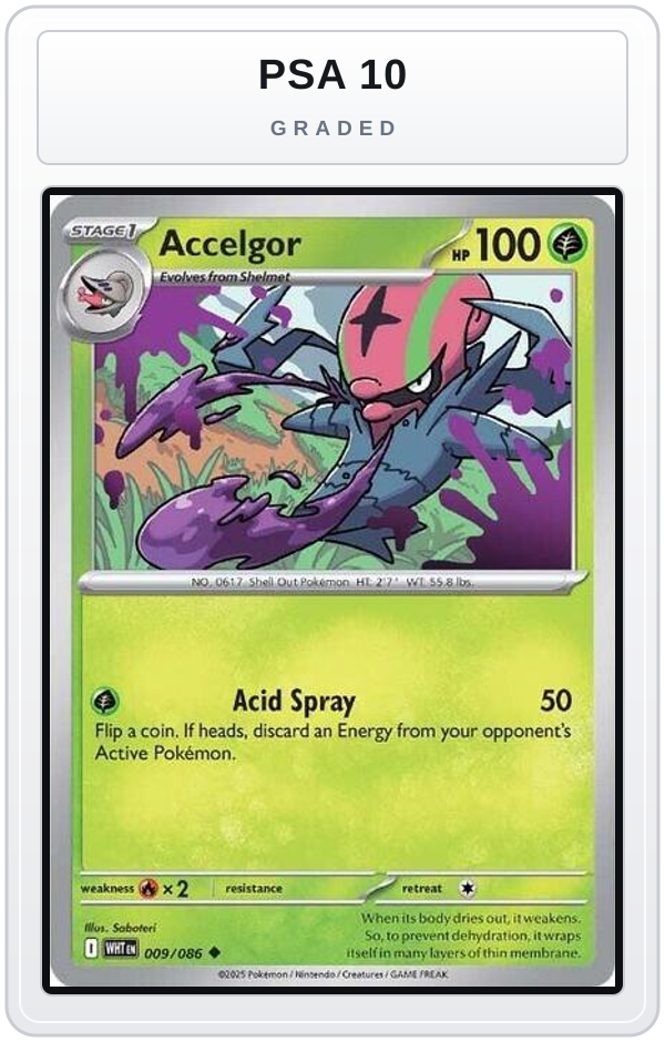 Graded - Accelgor — PSA 10 graded overlay