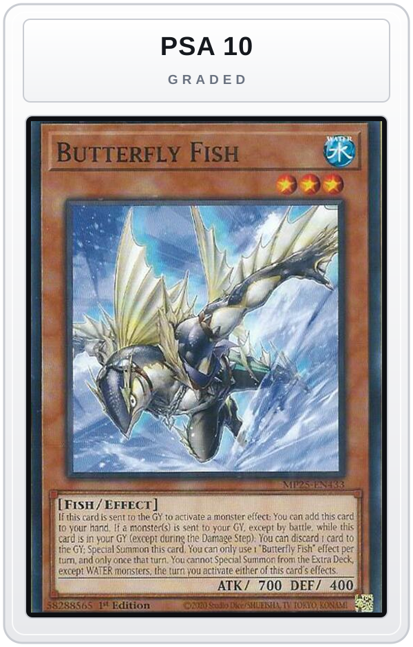 Graded - Butterfly Fish — PSA 10 graded overlay