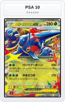 Graded - Mega Heracross ex - 004/080 — PSA 10 graded overlay