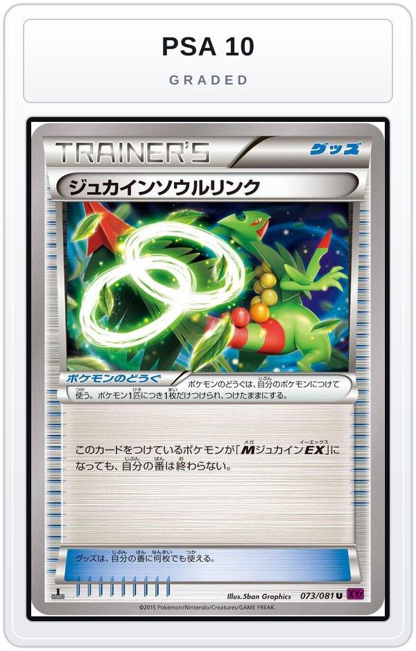 Graded - Sceptile Spirit Link — PSA 10 graded overlay