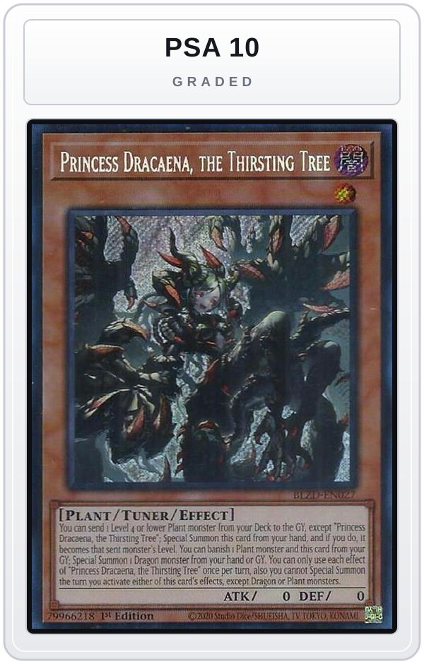 Graded - Princess Dracaena, the Thirsting Tree — PSA 10 graded overlay