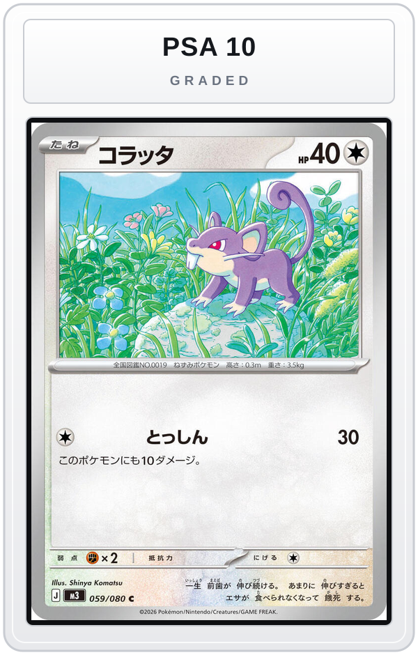 Graded - Rattata — PSA 10 graded overlay