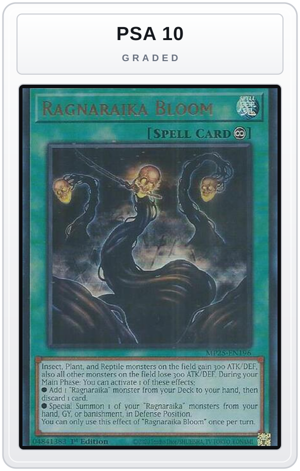 Graded - Ragnaraika Bloom — PSA 10 graded overlay